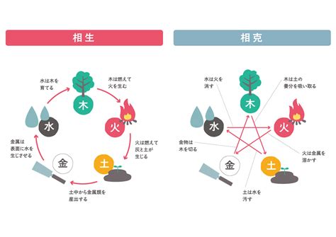 陰陽五行 男女|【陰陽五行占い】恋愛の相性が良い相手を見極める